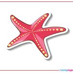 Starfish Coloring Page