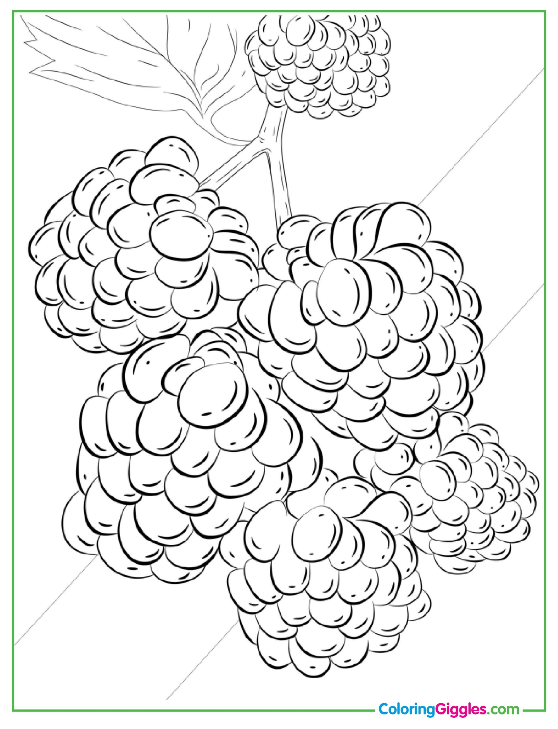 Raspberries Growing On A Bush Coloring
