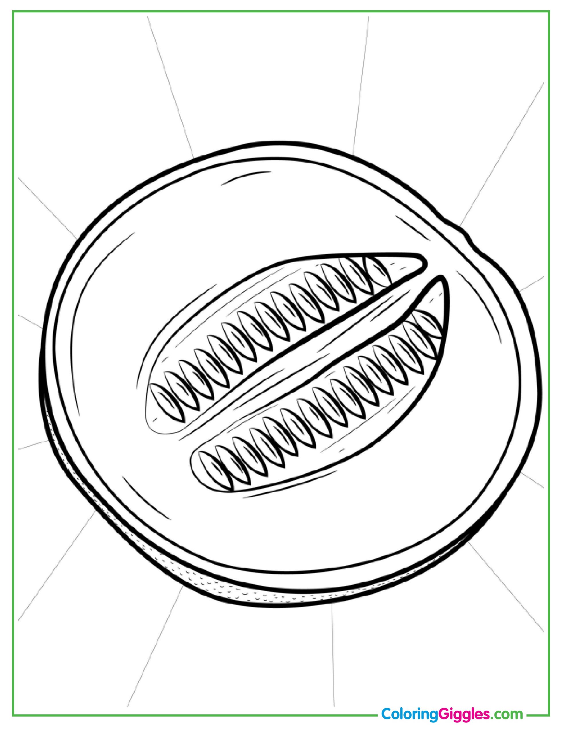Easy Cantaloupe Coloring Page