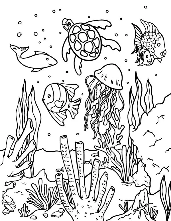 Ocean